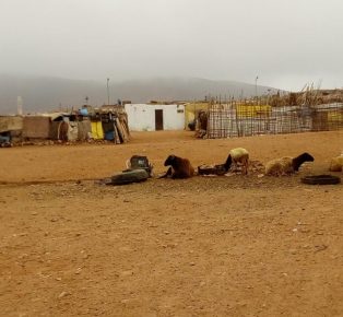 سيدي افني :تناسل أحواش البناء العشوائي بحي لگريبو