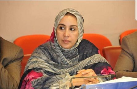 البرلمانيةأهل تكرور تنتقد الحكومة بسبب محدودية تفاعلها مع الاسئلة الكتابية