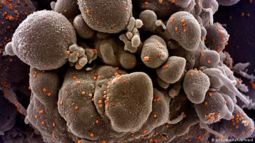 “تاصيلة” جديدة!!