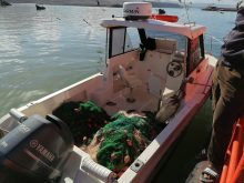 سيدي افني :ايقاف قاربين تقليديين يصطادان بمحمية الركونت