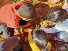 سيدي افني: النادي البيئي لمدرسة الاندلس يفتتح نشاطه السنوي