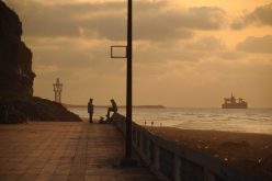 في الحاجة الى إحياء جبهة الفعل الثقافي بإفني.