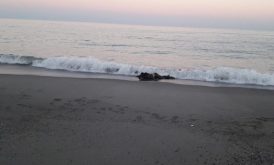 العثور على جثة رجل في عرض البحر جنوب سيدي إفني