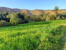 إنجاز دراسة لحماية وأحة أكوك من الفيضانات