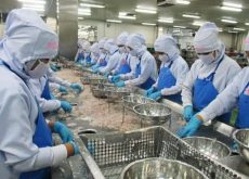 سيدي افني:الترخيص بافتتاح أول معمل لتصبير السمك بالميناء