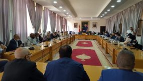 تزنيت :المالوكي يؤكد …عملية رش الحشرة القرمزية بالمبيدات “فاشلة”