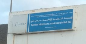 تعاونيات غاضبة من المصلحة الاقليمية للسلامة الصحية بسيدي افني