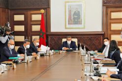 تمديد حالة الطوارئ الصحية والتأمين الإجباري عن المرض على طاولة الحكومة