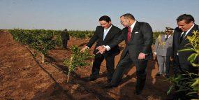 مهنيون وفلاحون: البرنامج الاستثنائي مبادرة ملكية تروم دعم الفلاحين المتضررين