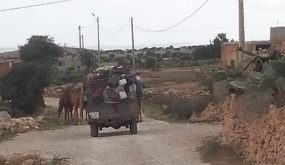 اعتداءات الرحل بإقليم سيدي افني.. رسالة إلى عامل الاقليم