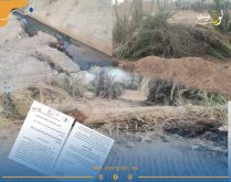 إجتثاث نخيل واتلاف مجرى مياه موضوع شكاية لوكيل الملك بكلميم