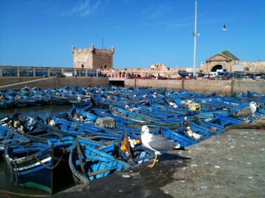 ميناء الصويرة.. ارتفاع الكميات المفرغة من الصيد الساحلي والتقليدي إلى %94