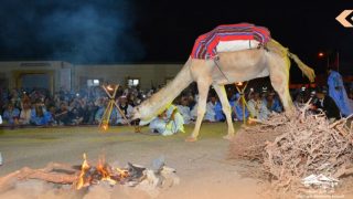 خيمة الشعر الحساني: احتفاء بالتراث الثقافي في مهرجان أهل الخيل الشهب
