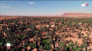 تغمرت: الواحة تواجه التدمير.. وجهة سياحية بين عاصفة الجفاف والحرائق