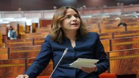 416 ترخيصا لاستيراد النفايات منذ 2016.. وزيرة الانتقال الطاقي تواصل الجدل