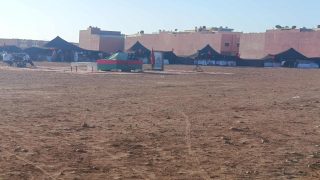 مهرجان أسبوع الجمل كلميم … مطالب الصناع التقليديين بين الإهمال وضعف التنظيم