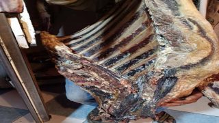 شهران حبسا نافذا لجزار بطانطان ضبط متلبسا ببيع لحوم فاسدة