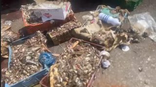 سوق “السويقة” بكلميم… قبلة للتبضع تحاصرها الروائح الكريهة والإهمال