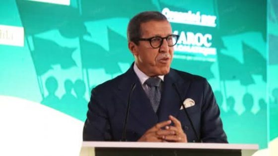 الدبلوماسية المغربية.. رؤية ملكية تؤسس لعمل ميداني ونتائج ملموسة